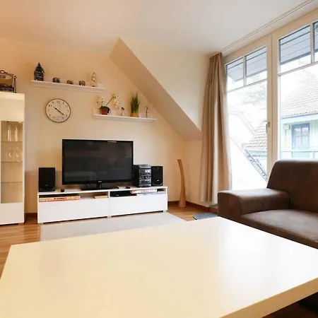 Papillon Whg 9 7, Silbermoewe *