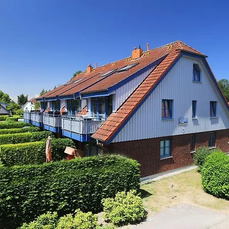 Papillon Whg 9 7, Silbermoewe