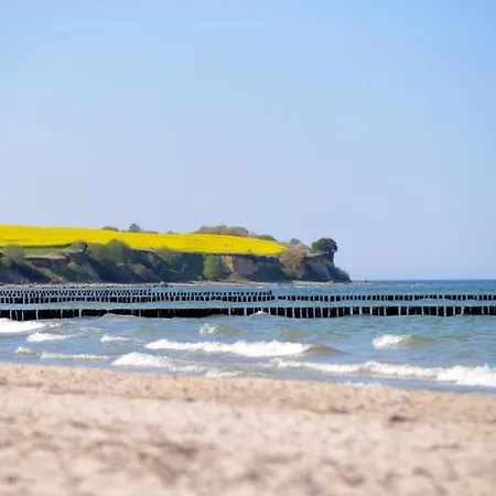 Papillon Whg 9 7, Silbermoewe * Boltenhagen (Ostseebad)