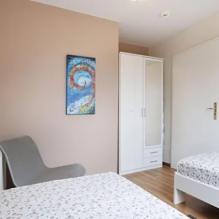 Papillon Whg 9 7, Silbermoewe